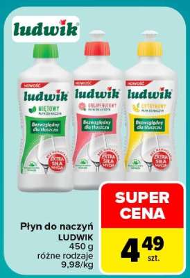 Płyn do naczyń Ludwik