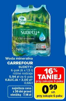 CARREFOUR SUDETY +