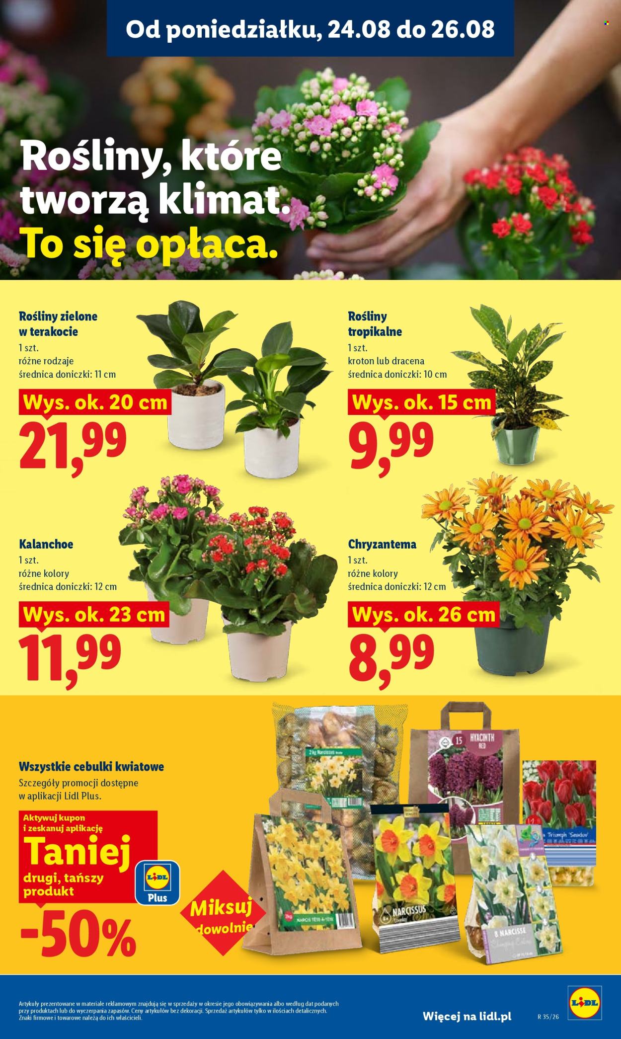 Gazetka Lidl - 24.08.2026 - 26.08.2026. Strona 85