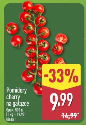 Pomidory cherry na gałązce