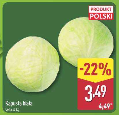 Kapusta biała