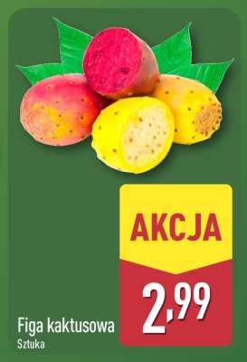 Figa kaktusowa