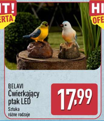 BELAVI Ćwierkający ptak LED