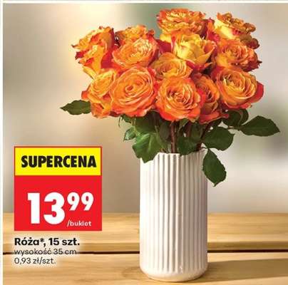 Róźa 15 szt