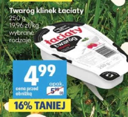 Twaróg klinek łaciaty