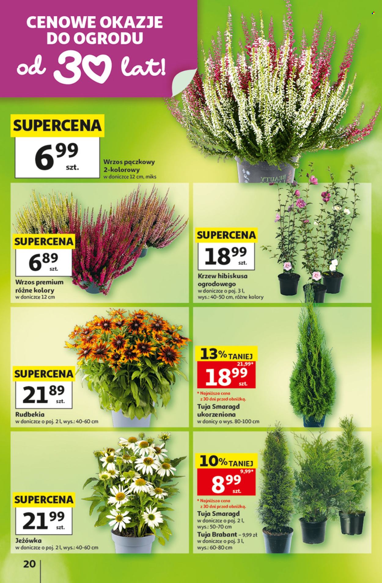 Gazetka Auchan - 27.08.2026 - 2.09.2026. Strona 20