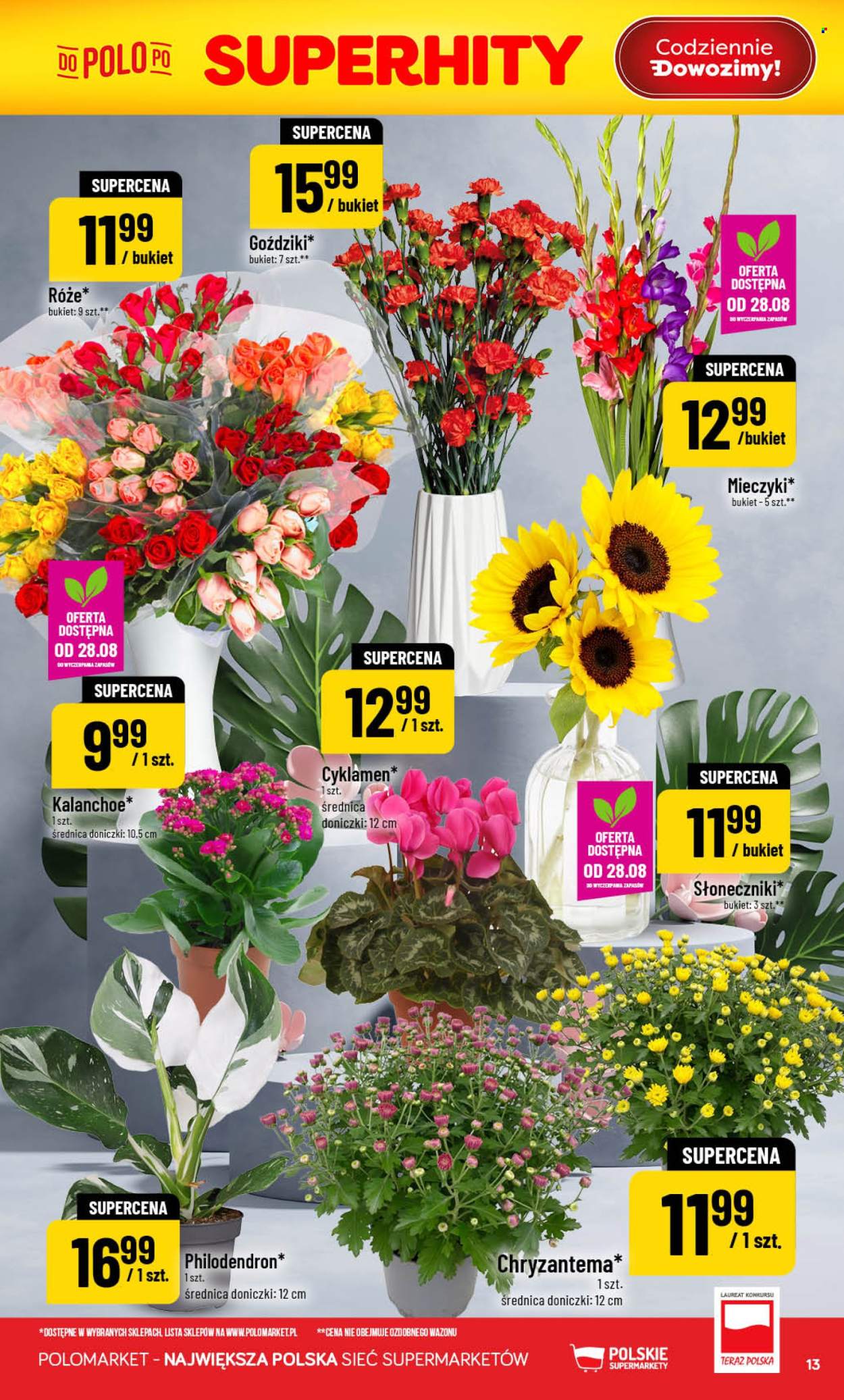 Gazetka Polomarket - 26.08.2026 - 1.09.2026. Strona 13
