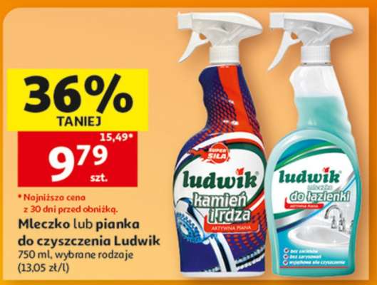 Mleczko lub pianka do czyszczenia Ludwik