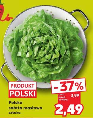 Polska sałata masłowa sztuka