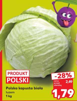Polska kapusta biała luzem 1 kg