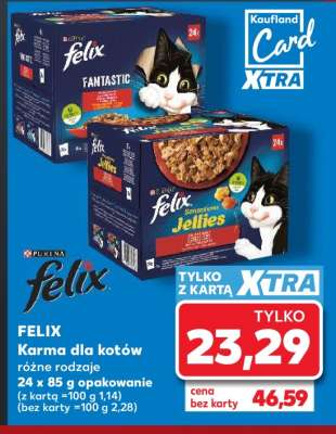 FELIX