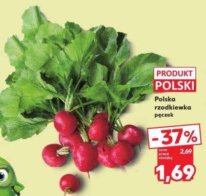 Polska rzodkiewka pęczek