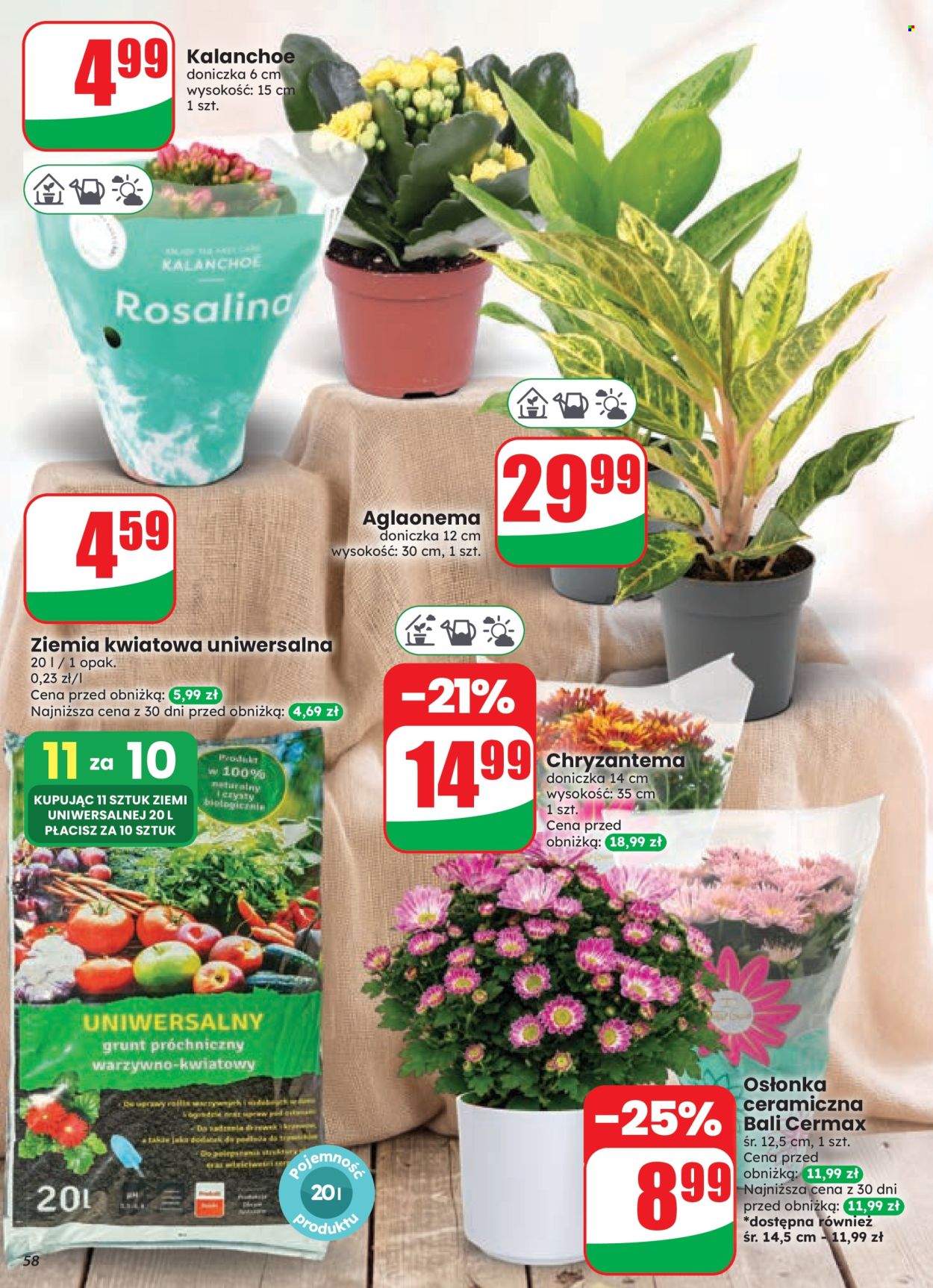 Gazetka Dino - 26.08.2026 - 1.09.2026. Strona 58
