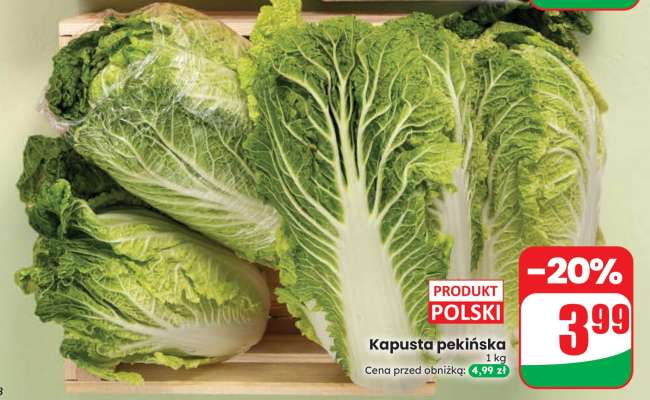 Kapusta pekińska