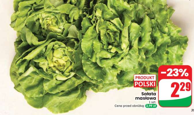 Sałata masłowa