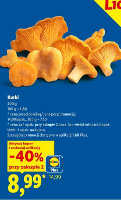 Kurki
