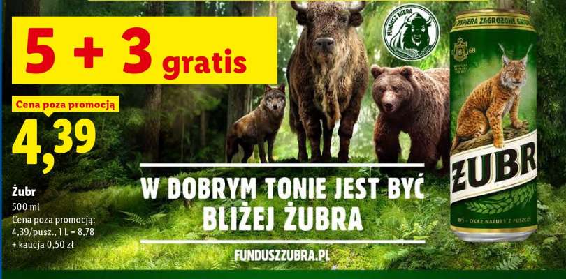 Żubr