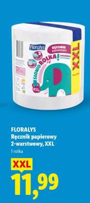 FLORALYS Ręcznik papierowy 2-warstwowy, XXL