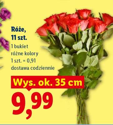 Róże, 11 szt.