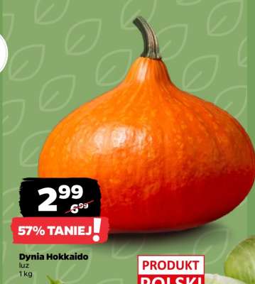 Dynia hokkaido