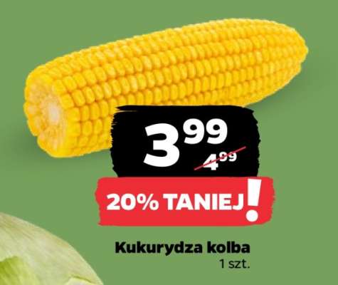 Kukurydza kolba