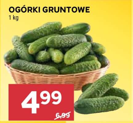 Ogórki gruntowe