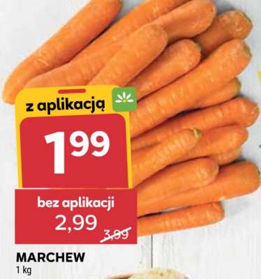 Marchew