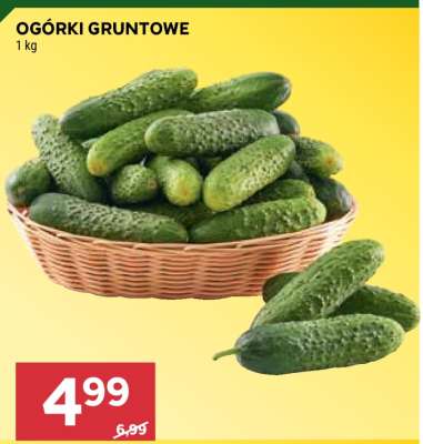Ogórki gruntowe