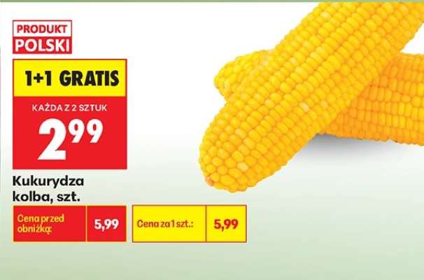 Kukurydza kolba szt