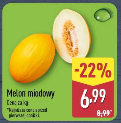 Melon miodowy