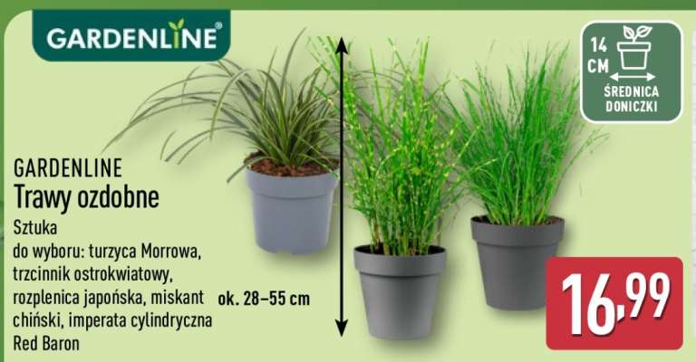 GARDENLINE Trawy ozdobne