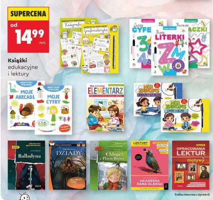 Książki edukacyjne i lektury