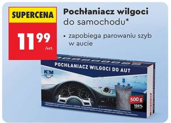 Pochłaniacz wilgoci do samochodu