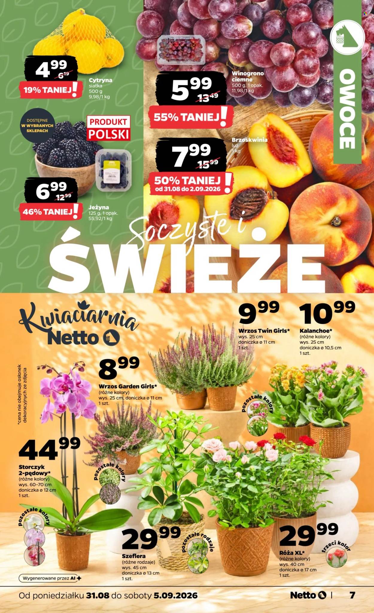 Gazetka Netto - 31.08.2026 - 5.09.2026. Strona 7