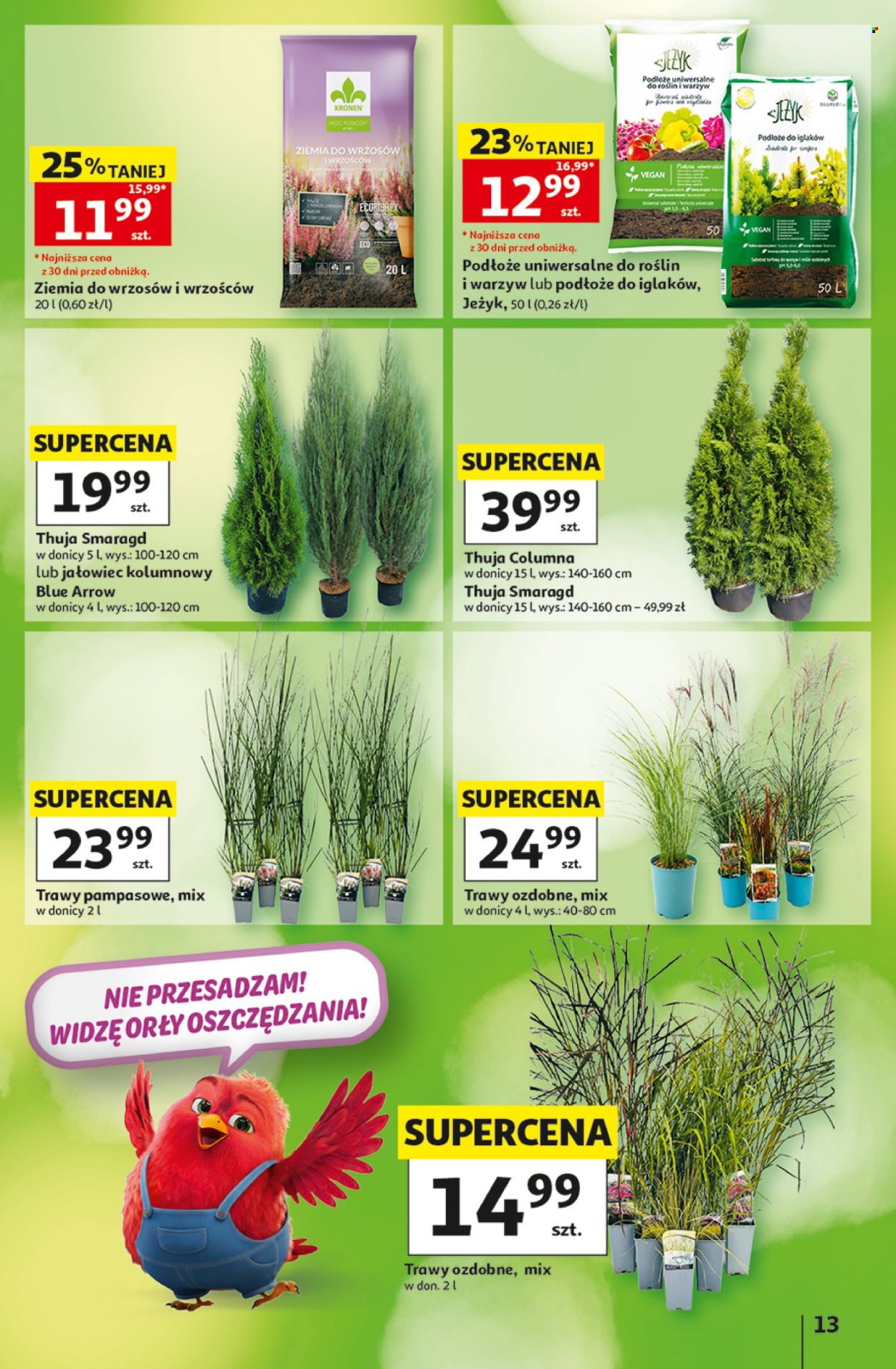 Gazetka Auchan - 3.09.2026 - 9.09.2026. Strona 13