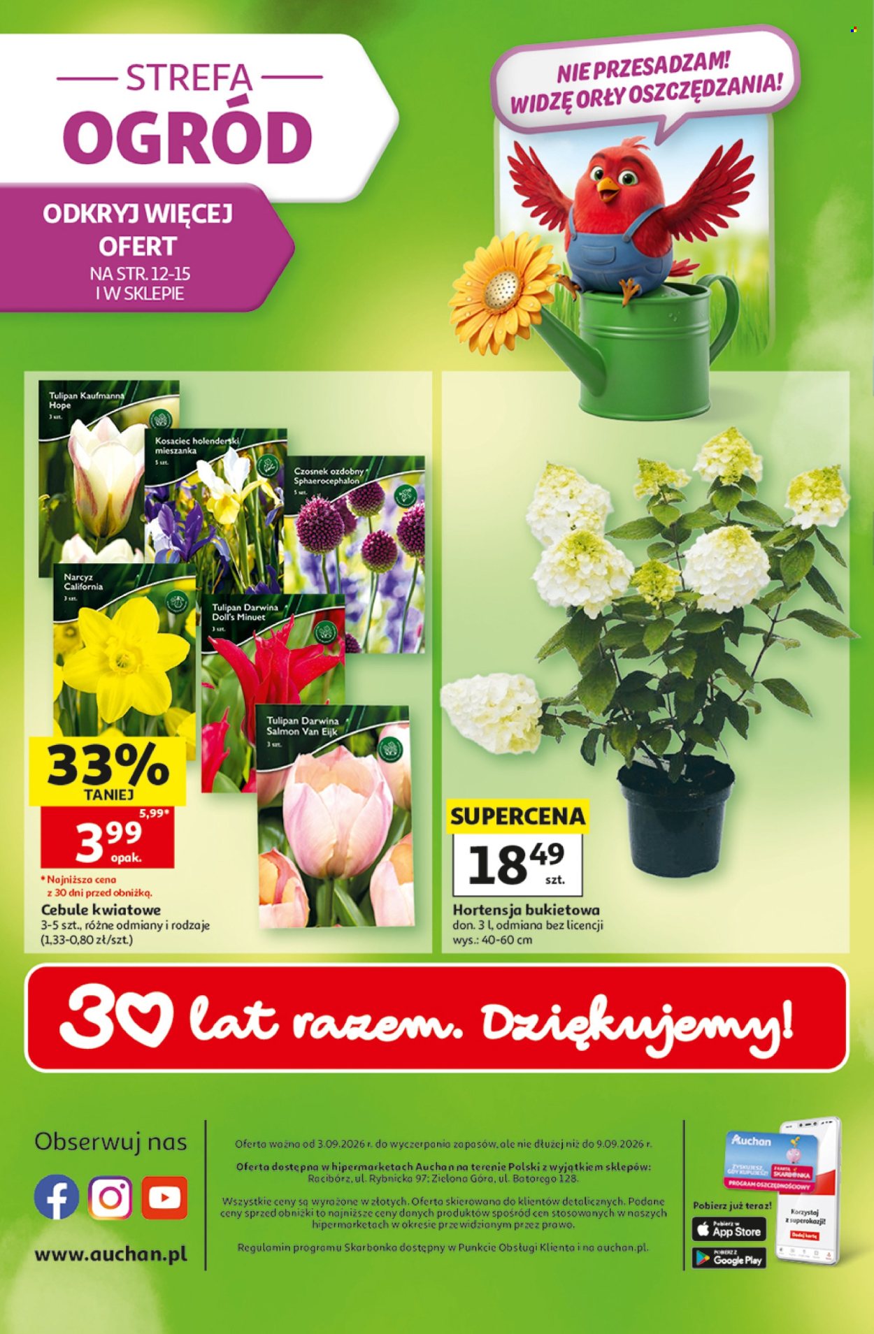 Gazetka Auchan - 3.09.2026 - 9.09.2026. Strona 49
