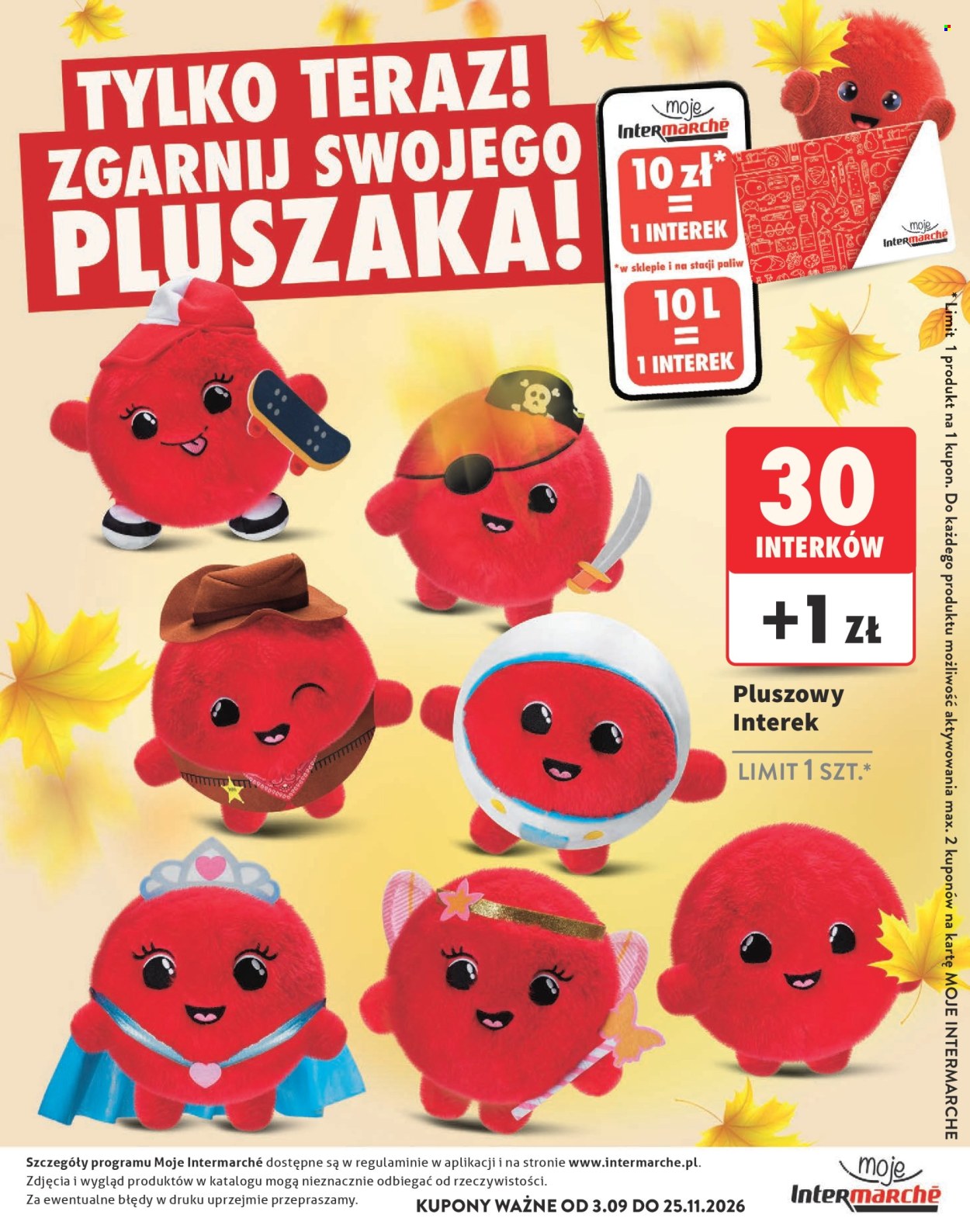 Gazetka Intermarché - 3.09.2026 - 25.11.2026. Strona 33