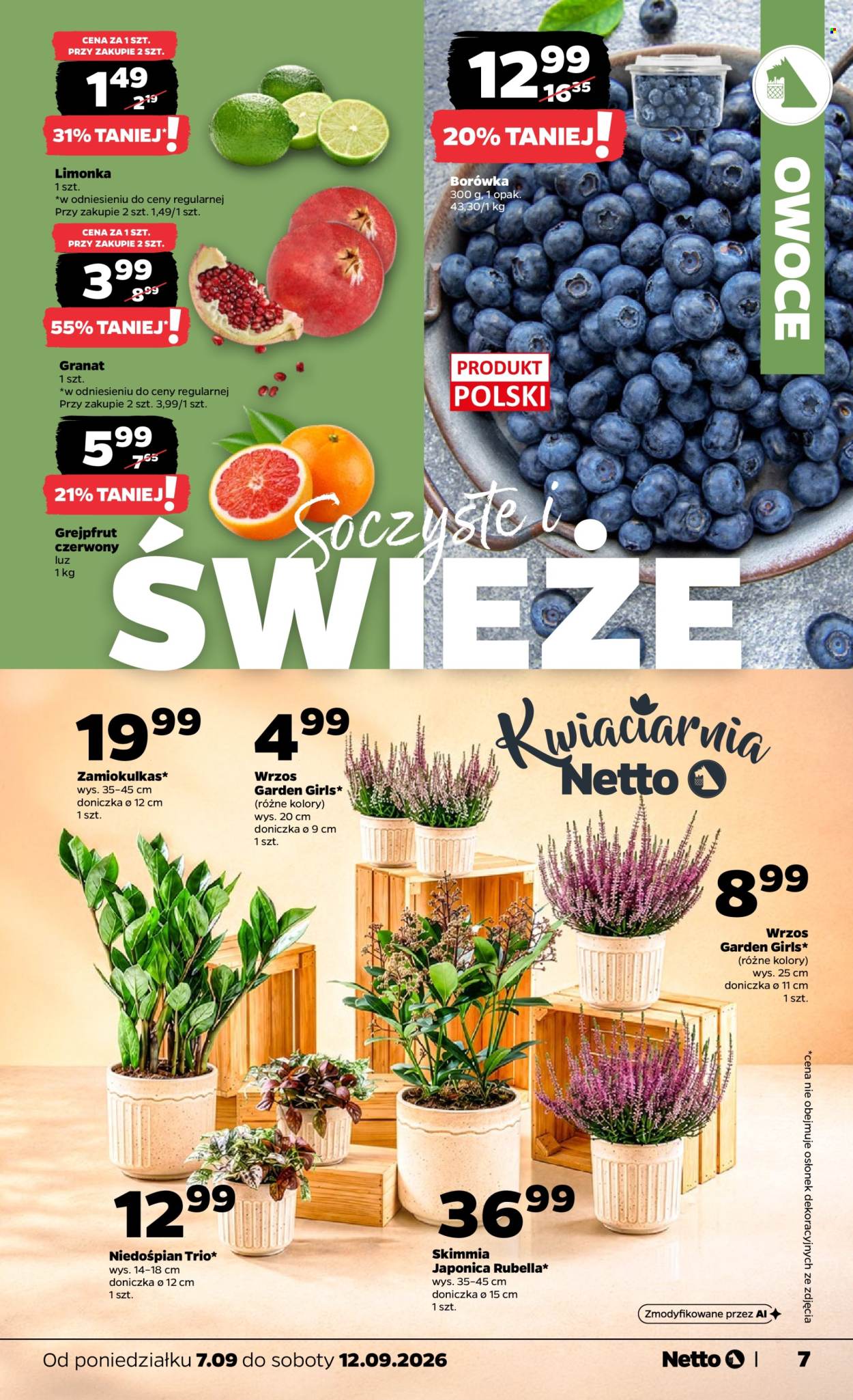 Gazetka Netto - 7.09.2026 - 12.09.2026. Strona 7