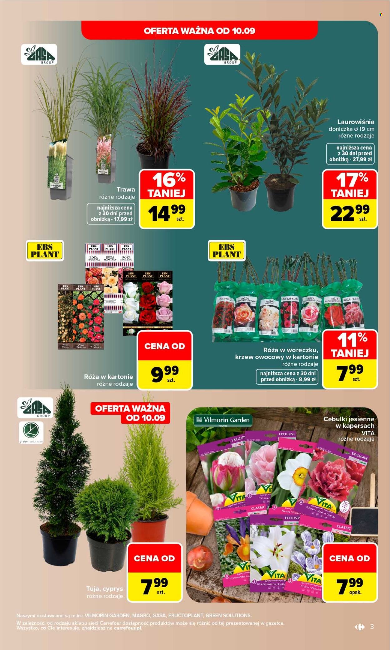 Gazetka Carrefour - 7.09.2026 - 19.09.2026. Strona 3