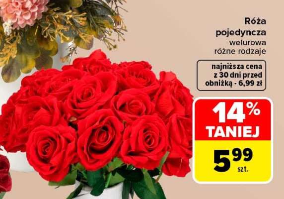Róża pojedyncza