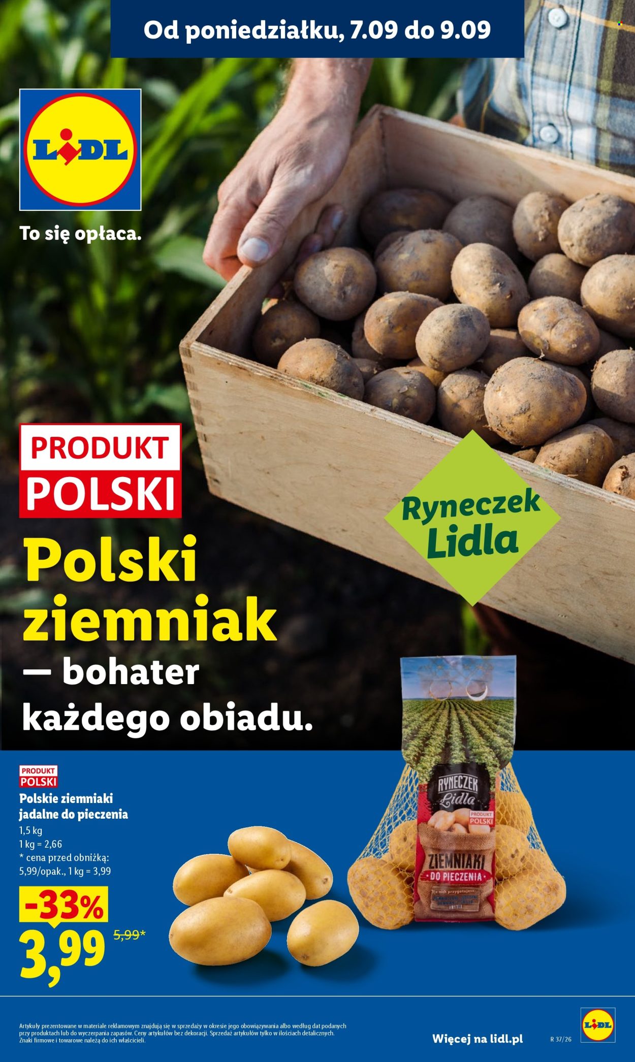Gazetka Lidl - 7.09.2026 - 9.09.2026. Strona 31