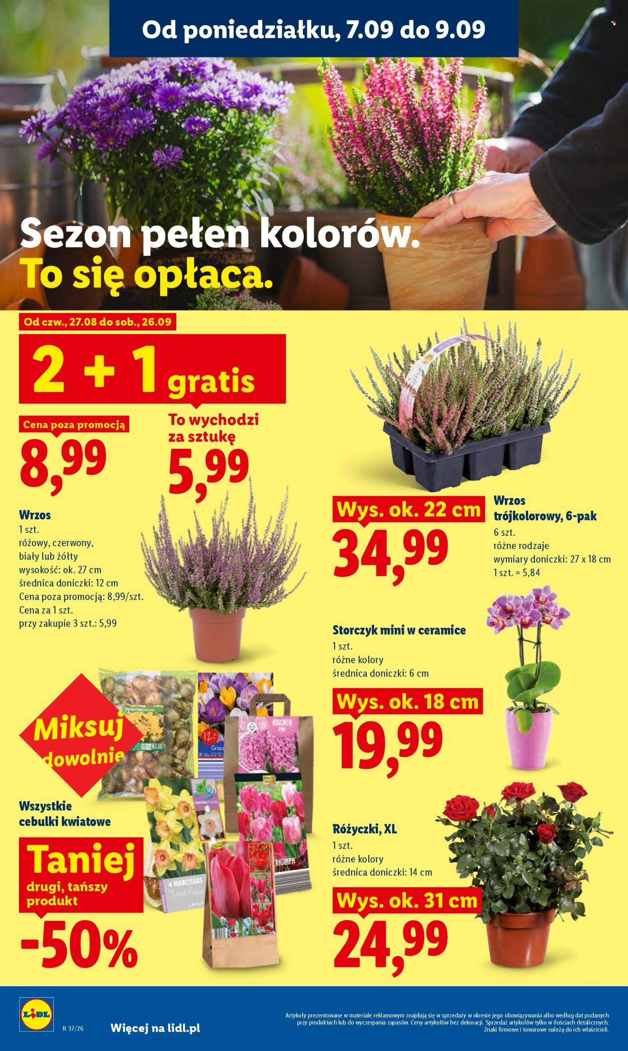 Gazetka Lidl - 7.09.2026 - 9.09.2026. Strona 82