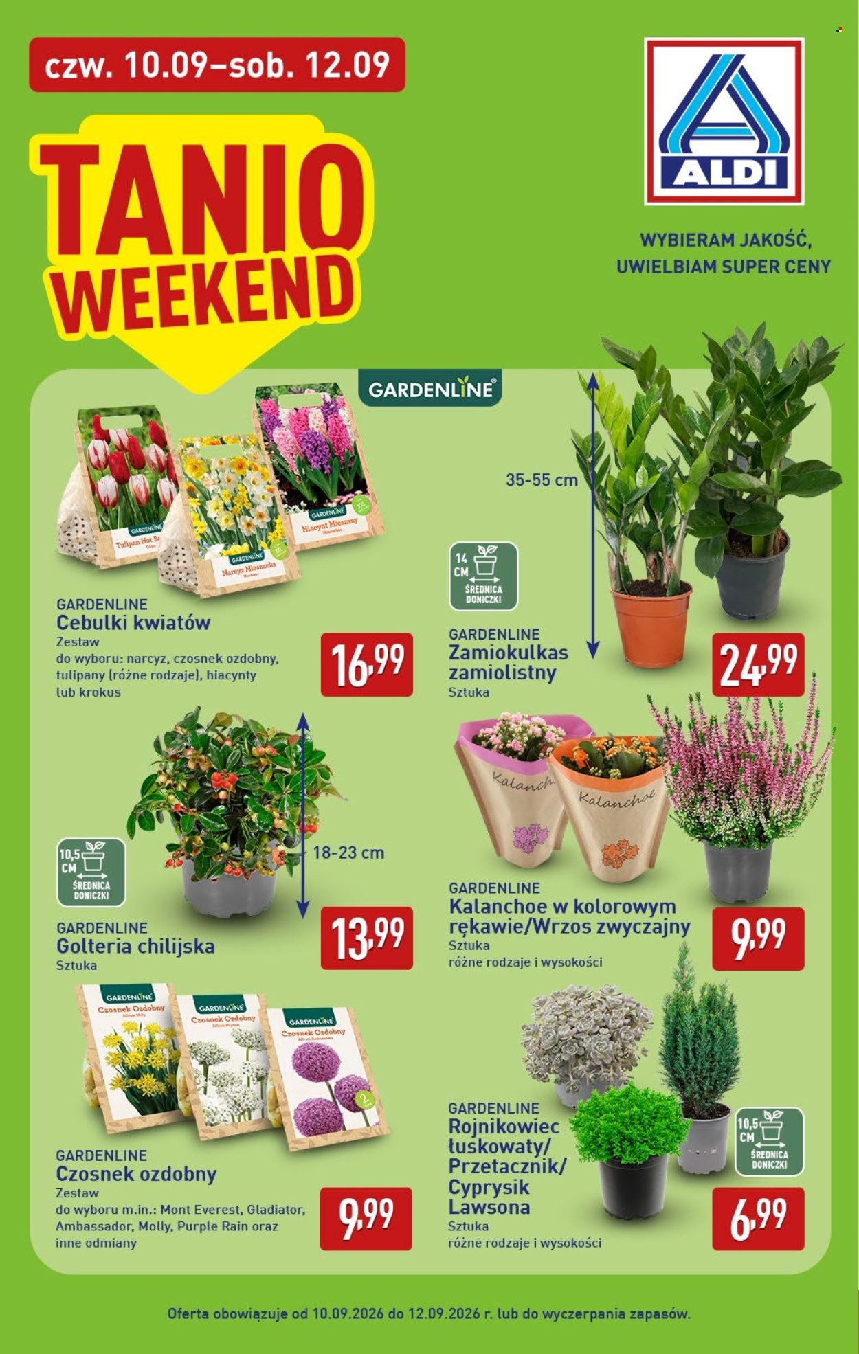 Gazetka ALDI - 7.09.2026 - 12.09.2026. Strona 34
