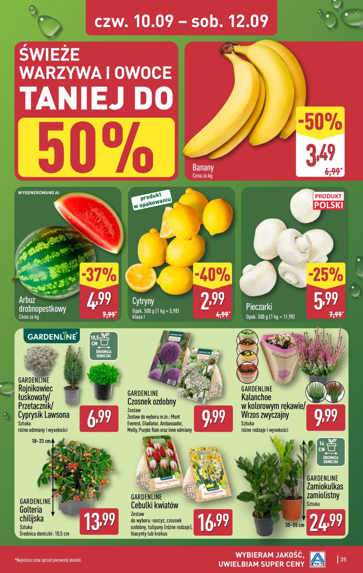 Gazetka ALDI - 7.09.2026 - 12.09.2026. Strona 35