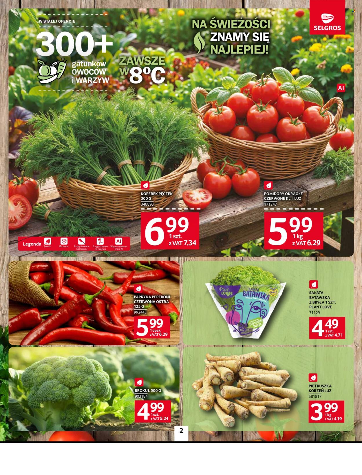 Gazetka Selgros - 10.09.2026 - 23.09.2026. Strona 2