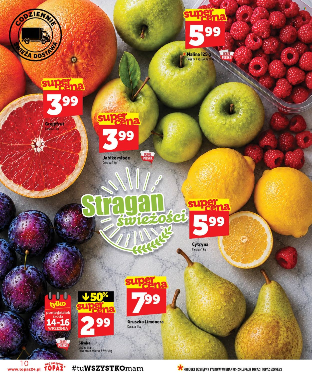 Gazetka Topaz - 10.09.2026 - 16.09.2026. Strona 10
