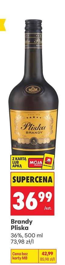 Brandy Pliska