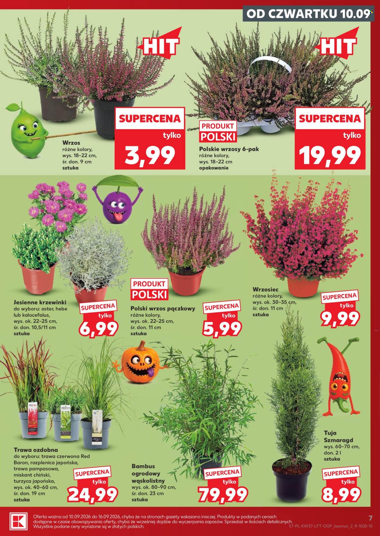Gazetka Kaufland - 10.09.2026 - 16.09.2026. Strona 7