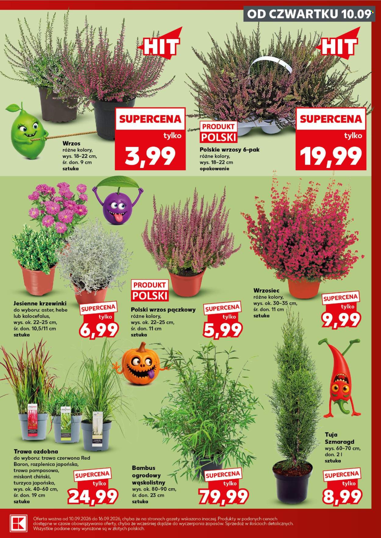 Gazetka Kaufland - 10.09.2026 - 16.09.2026. Strona 7
