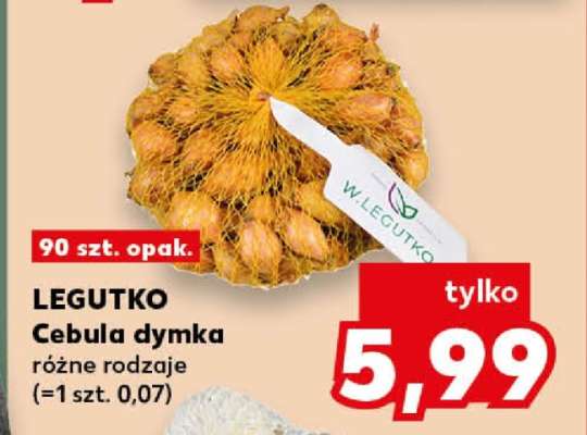 LEGUTKO Cebula dymka